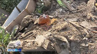 Дачники одного из СНТ пожаловались на свалку строительного мусора