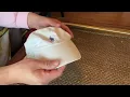 Polo Ralph Lauren Pony Logo Hat Honest Review
