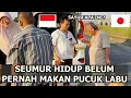 Download Lagu REAKSI TUAN TANAH PERTAMA KALI MAKAN SAYUR PUCUK LABU