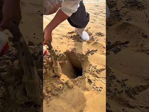 #bts