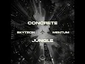 Concrete Jungle (Extended Mix)