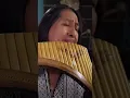 Download Lagu Hallelujah Golden Pan Flute