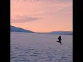 The Voyager - Chance Peña