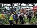 Lagu pemangkasan kayu dijalor lintas gumitir
