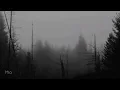 Five Finger Death Punch - Darkness Settles In (Türkçe Çeviri)