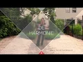 Download Lagu The Harmony / De Harmonie