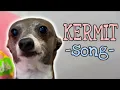 Download Lagu a song for kermit