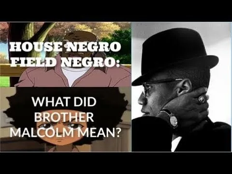 Download MP3 Malcolm X: HOUSE NEGRO vs. FIELD NEGRO