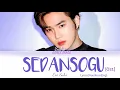 Download Lagu SEDANSOGU :- EXO Suho  (세상에 단 하나뿐인 소중한 그대)  Colour code Lyrics How Are You Bread OST