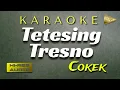 Download Lagu Karaoke Tetesing Tresno