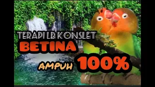 Download AMPUH..MASTERAN LB KONSLET BETINA SPEED LAMBAT MP3