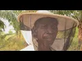 Download Lagu Bees sweeten relationships between the Twa and Bantu communities in eastern DRC