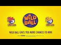 How To Play Wild Ball