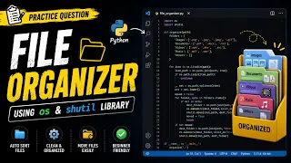 FILE ORGANIZER in Python Practice Question