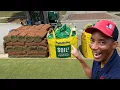 Bermuda to Zeon Zoysia Again - Golf Course Lawn