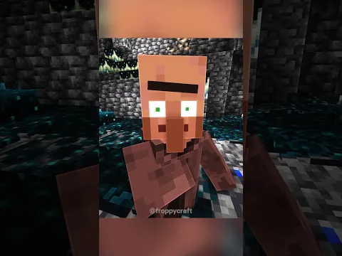 Minecraft Meme