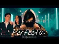 Alan Walker Style|PERFECTA REMIX |2025 (Official Music)