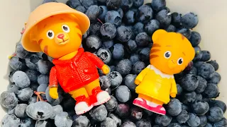 Daniel Tiger Neighborhood TOYS Picking Blueberries!!