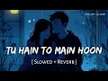 Download Lagu Tu Hain Toh Main Hoon - Lofi (Slowed + Reverb) Arijit Singh, Afsana Khan | Sky Force | RN Lofi Alone
