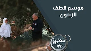 موسم قطف الزيتون 