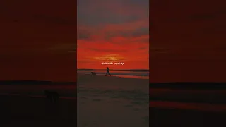 لما رآني اسراء الاصيل  لما رآني اسراء الاصيل