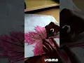 Maple Leaf Colouring tutorial -PART - 3