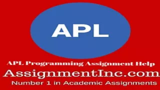 APL Programming Assignment Help