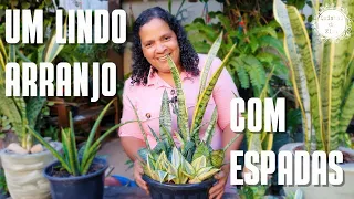 ESPADA-DE-SÃO-JORGE: Como montar um lindo arranjo | Dicas de cultivo