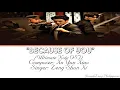 Because of You | 因为你 (Yin Wei Ni) | Ultimate Note OST Lyrics | Chinese x English |
