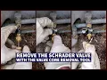 Remove The Schrader Valve with the Valve Core Removal Tool on the First Try Every Time