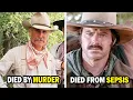 Lonesome Dove 1989 Cast Update 2026 Unrecognizable Transformations