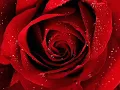 Ana gabriel:  Lo se  letra!!