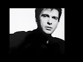 Peter Gabriel ~ Sledgehammer 1986 Extended Meow Mix