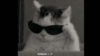 هيفاء وهبي توته بطيء 