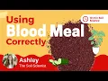 What Is Blood Meal Fertilizer How To Apply Blood Meal To Plants What Else You Should Add