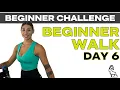 20 Min BEGINNER WALK Day 6 of 7 of the New Year Beginner Challenge