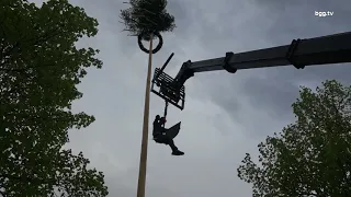 g llsdorf maibaum stellen 2018