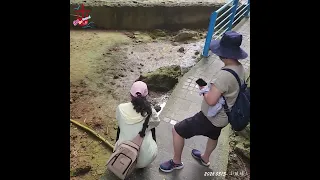                             دندنها