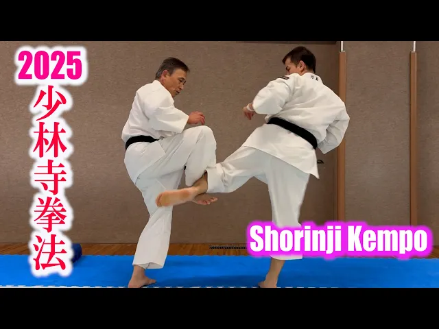 Video: A 65-year-old man's skills give hope for your future ( Shorinji Kempo / Hiromu Inoue sensei)