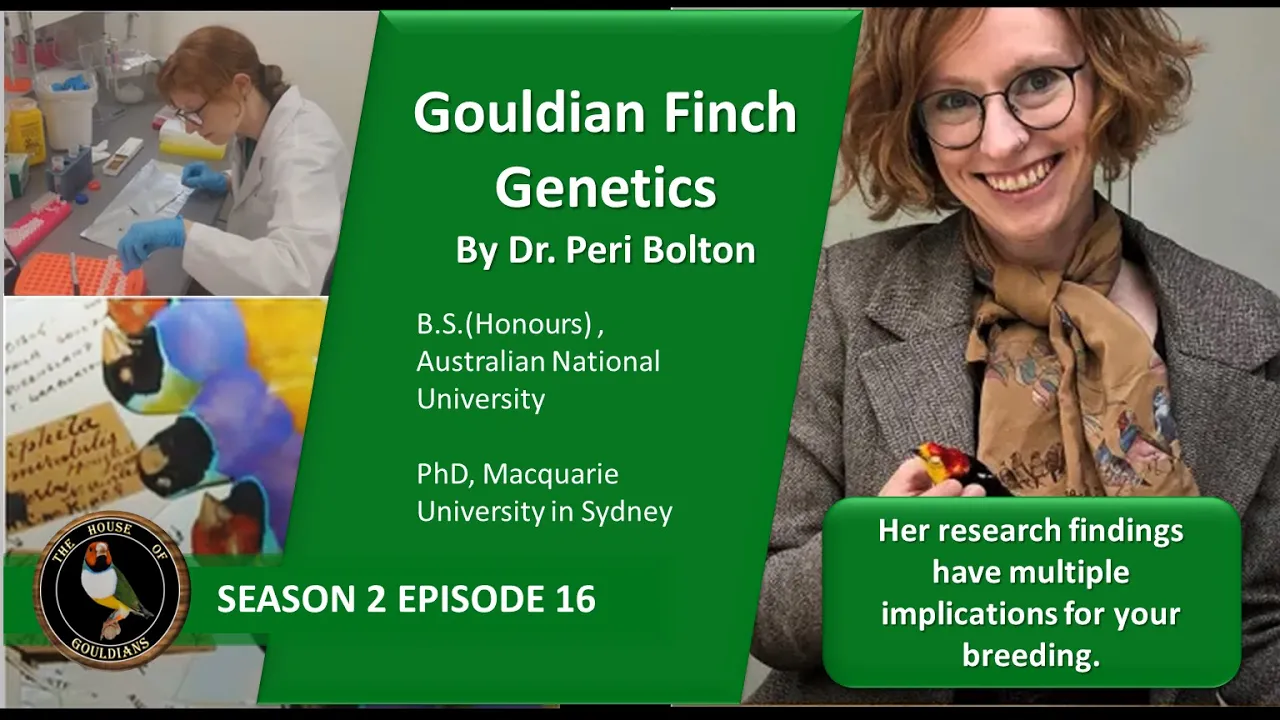 Gouldian Finches: House of Gouldians - Season 2 Episode 16