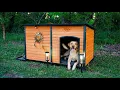 Best Insulated Dog House for Large Dogs Aivituvin AIR63 Review