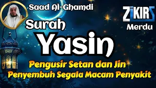 Surah Yasin, dengarkan hutang lunas Rezeki datang dari berbagai arah, By Saad-Al-Ghamdi 🕌🕋 Yaseen