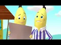 Download Lagu The Bananas Become Builders! | Bananas in Pyjamas Season 1 | Full Episodes | Bananas in Pyjamas
