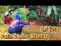 Lagu MANTAP‼️BANG AMAD JUARA LAGI‼️EDISI MANCING PATIN YANG RAKUS MAKAN