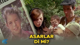 İbo İle Güllüşah Türk Filmi | İbo, Telaşlanıyor