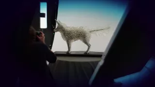 Star Wars : Les Derniers Jedi - Reportage : Evolution du Renard de Cristal