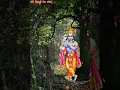 Download Lagu saawariya jhanjhat bade apar... khatu shyam status