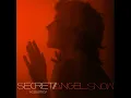 Secret (Acoustic)