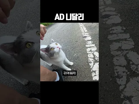 AD 니달리