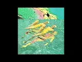 slenderbodies - anemone